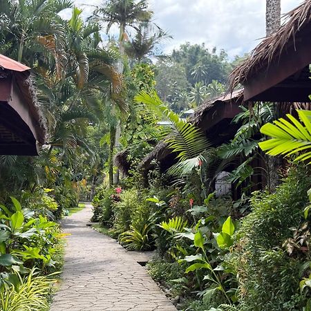 Garden Of Eden Dive Resort Puerto Galera Εξωτερικό φωτογραφία